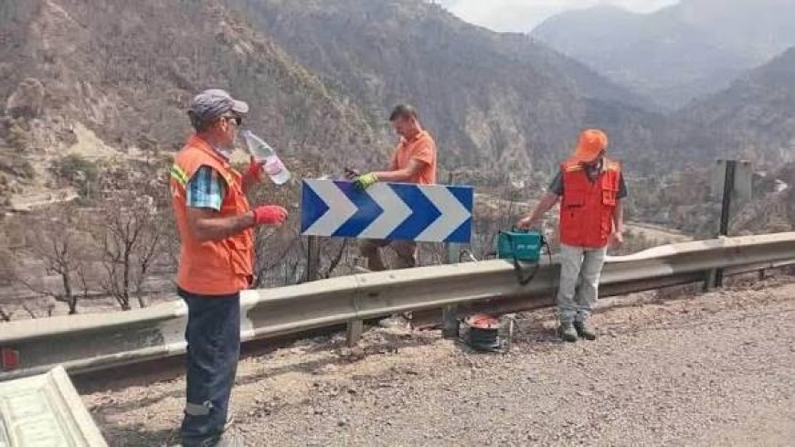 الولايات المتضررة من الحرائق:  إصلاح شبكات المياه والكهرباء والاتصالات وإعادة تهيئة الطرقات