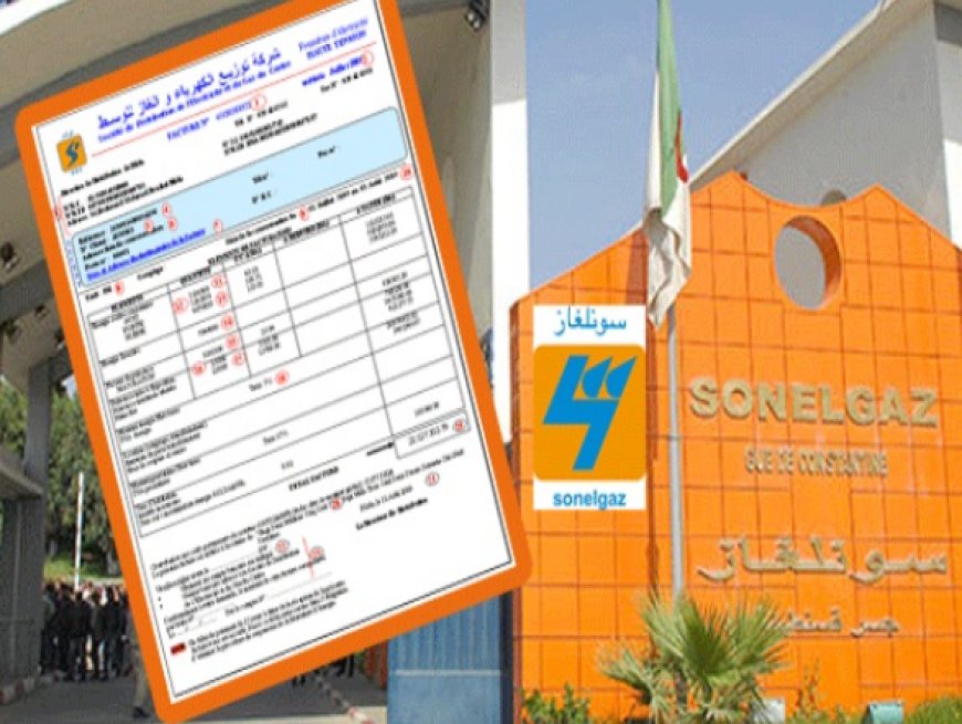 ديون زبائن سونلغاز سكيكدة تتراكم