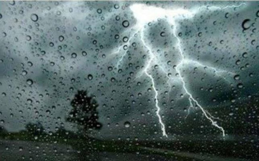 أمطار رعدية وموجة حر على عدة ولايات من الوطن