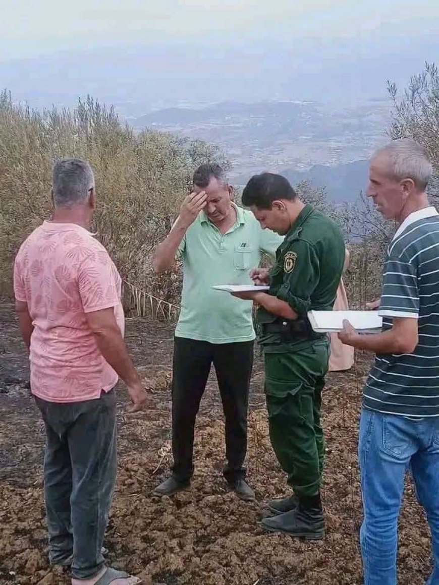 السلطات تطلب من المتضرّرين من حرائق جيجل البقاء بمنازلهم