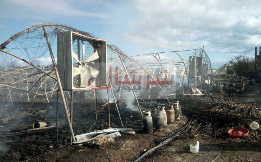 حريق مهول يلتهم مشروع تربية الدواجن ويقضي على أحلام مستثمر بمداوروش