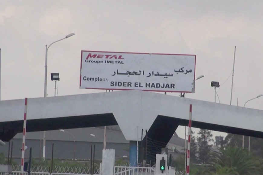 مركب الحجار.. ملف ثقيل على طاولة وزير الصناعة الجديد