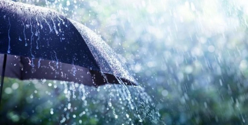 أمطار رعدية ورياح على عدة ولايات من الوطن