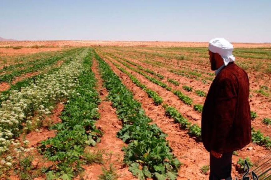 أم الشمل بالمسيلة:  160 مستفيدًا ينتظرون استكمال توزيع محيط الامتياز الفلاحي