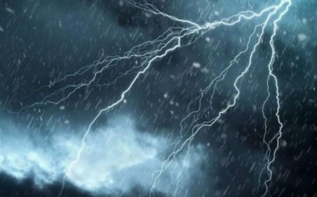 تساقط أمطار رعدية غزيرة على عديد ولايات الوطن