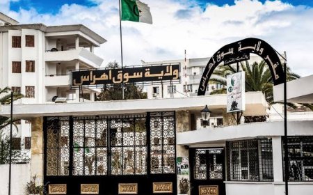 سوق أهراس تُسارع الزمن لإرساء "المرجع الوطني للعنونة"