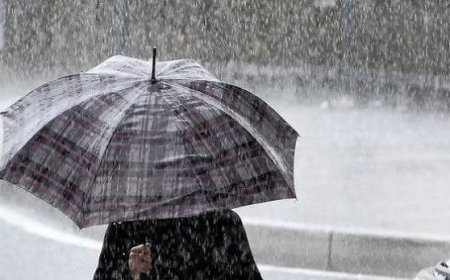 أمطار رعدية على العديد من ولايات الوطن
