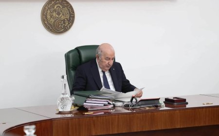 رئيس الجمهورية يأمر بتخصيص مجلس وزراء خاص بقطاع الفلاحة