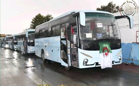 ولاية سوق أهراس: تعزيز قطاع النقل الحضري بـ10 حافلات عصرية ​