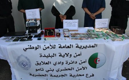 وكالة سياحية في قلب قضية نصب بالبليدة توقيف 3 مشتبه فيهم