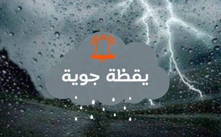 أمطار ورعود على هده الولايات