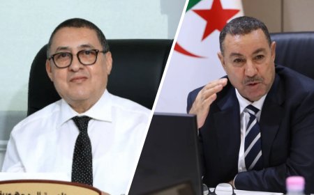 رئيس الجمهورية يعين إبراهيم مراد وزيرا للداخلية والجماعات المحلية وسعيد سعيود وزيرا للنقل