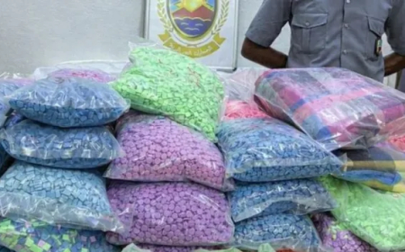 235 ألف حبة إكستازي تقود متهمين إلى حكم الإعدام بمجلس قضاء الجزائر
