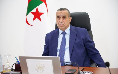 عجال يشدد على احترام آجال تنفيذ خارطة طريق وكالة الطاقة الجديدة