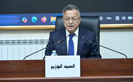 الجزائر تراهن على المؤسسات الاقتصادية لتطوير الحوسبة المتقدمة والذكاء الاصطناعي