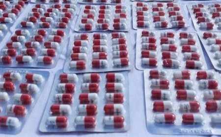 الإطاحة بـ "بارون" المؤثرات العقلية وحجز قرابة 40 ألف قرص مهلوس بـشـشار في خنشلة