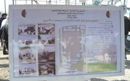 مصنع الباراسيتامول بباتنة يدخل حيز الإنتاج خلال تسعة أشهر 
