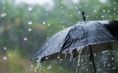 أمطار رعدية على العديد من ولايات الوطن