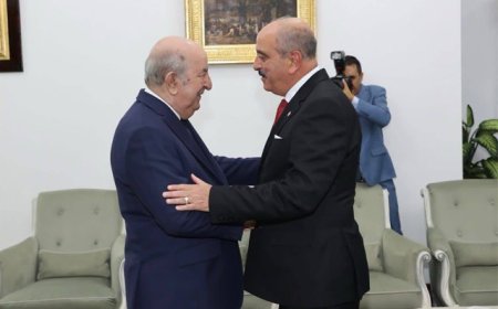 الرئيس تبون وعلي النفطي يبحثان تعزيز التنسيق الثنائي وتطورات الأزمة الليبية