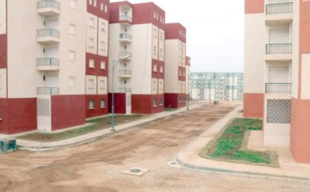 أكثر من 848 مليون دينار لدعم السكن لفائدة ذوي الاحتياجات الخاصة