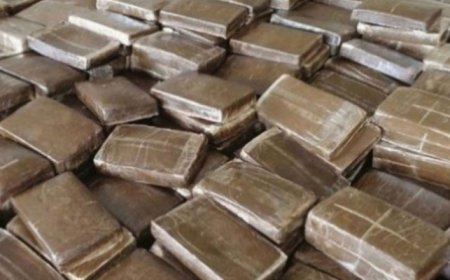 سقوط شبكة إجرامية منظمة وحجز أكثر من 14 كيلوغرامًا من القنب الهندي بعنابة