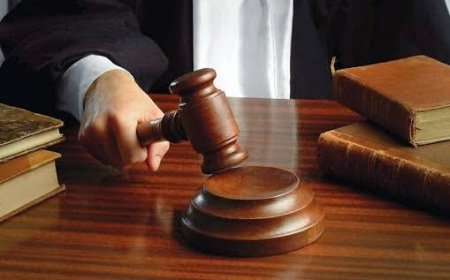 قالمة: 7 سنوات سجنا نافذا لأربعة متهمين في قضية ترويج المخدرات بعين مخلوف