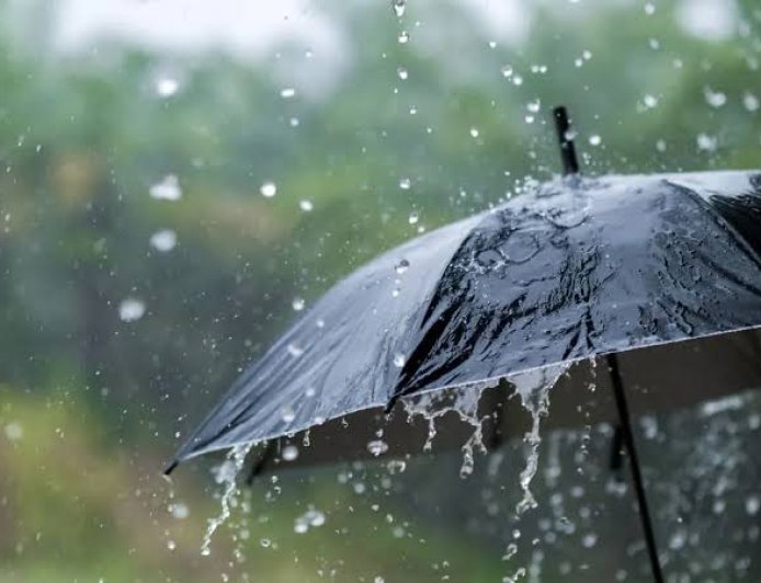 أمطار رعدية على العديد من ولايات الوطن