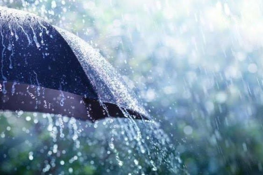 أمطار رعدية على عديد ولايات الوطن