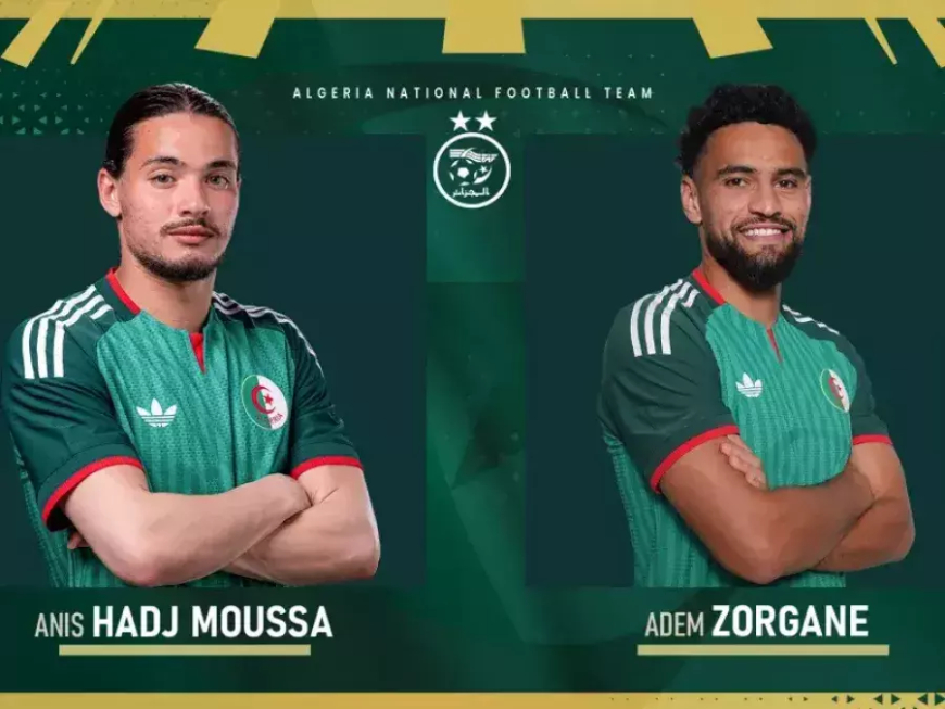 حاج موسى و زرقان يغيبان عن مواجهة النيجر الودية بسبب الإصابة