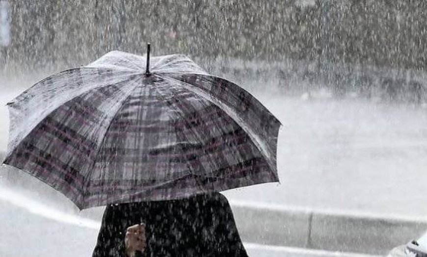 أمطار رعدية على العديد من ولايات الوطن