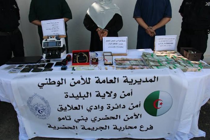 وكالة سياحية في قلب قضية نصب بالبليدة توقيف 3 مشتبه فيهم