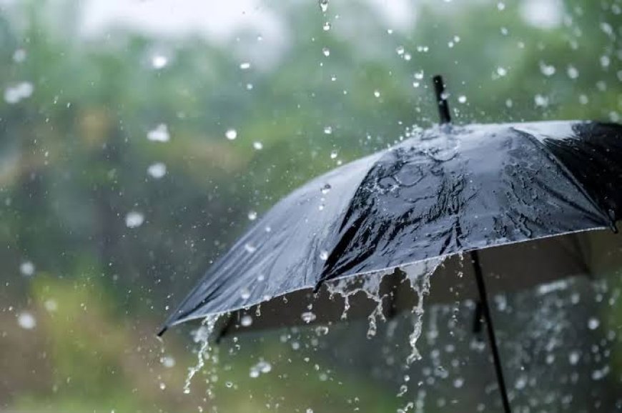 أمطار رعدية على العديد من ولايات الوطن