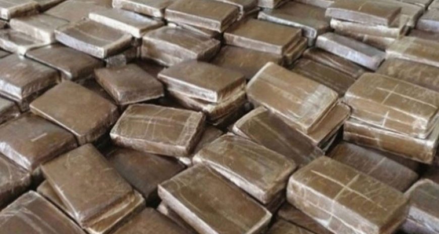 سقوط شبكة إجرامية منظمة وحجز أكثر من 14 كيلوغرامًا من القنب الهندي بعنابة